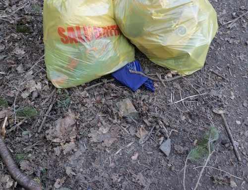 Poliția Locală Piatra Neamț