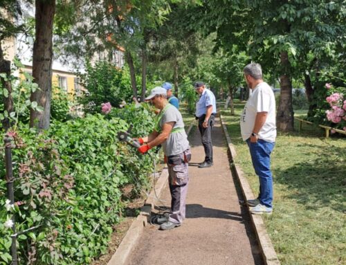 Poliția Locală Piatra Neamț