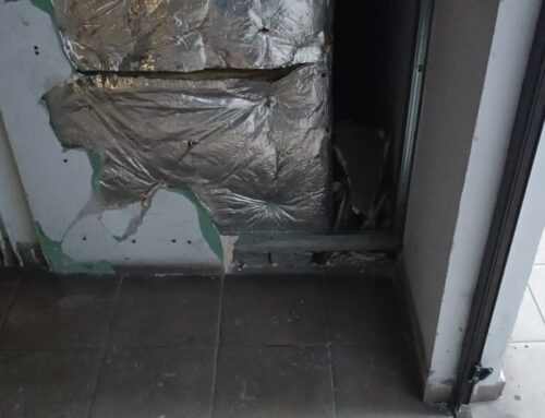Poliția Locală Piatra Neamț