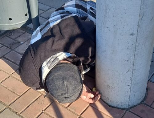 Poliția Locală Piatra Neamț