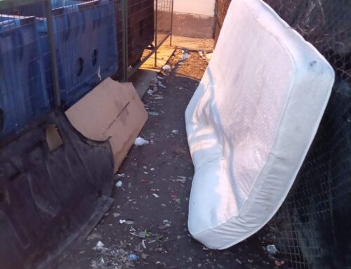 Direcția Poliția Locală Piatra Neamț